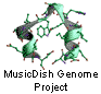 Music Dish